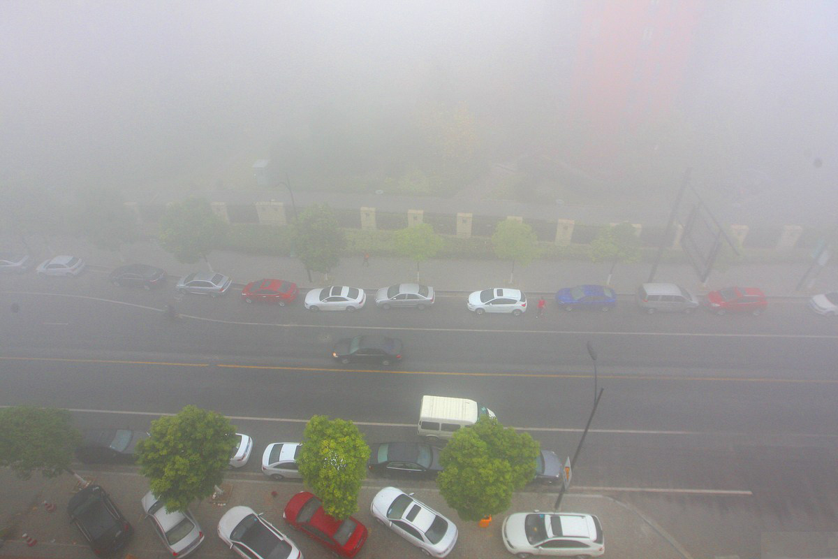 杭州遭遇大霧襲擊能見度不足百米(組圖)