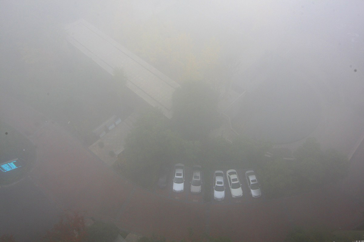 杭州遭遇大雾袭击能见度不足百米(组图)