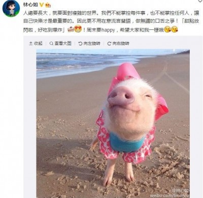 林心如今天下午在微博回应，不需要做无谓的口舌之争。（图片撷取自林心如微博）