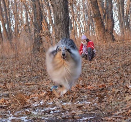 2015/03/01/20150301092939539.jpg