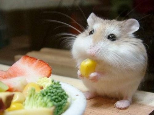 2015/03/01/20150301092939118.jpg