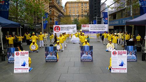 悉尼法轮功学员与支持者在马丁广场集会，并以真人演示反酷刑展，向澳洲主流社会揭露中共活摘法轮功学员器官的真相。