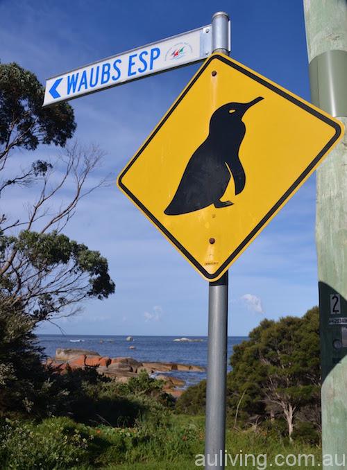 企鹅指示牌