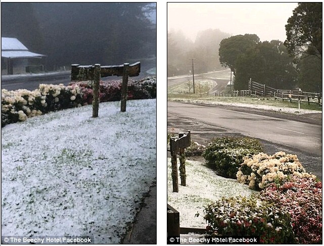 冷锋侵袭维州 墨尔本东南小镇遭遇降雪天气