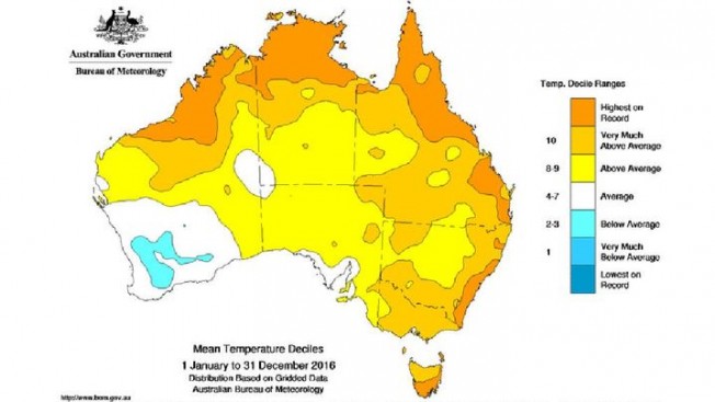 2016年天气不寻常!悉尼有史以来最热一年